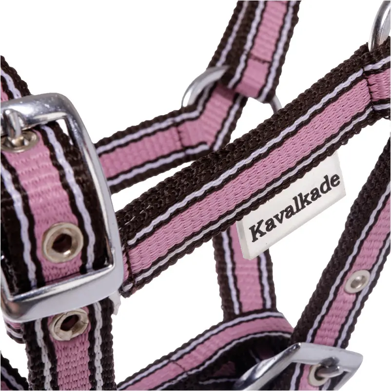 Fohlenhalfter rosa/braun/weiß