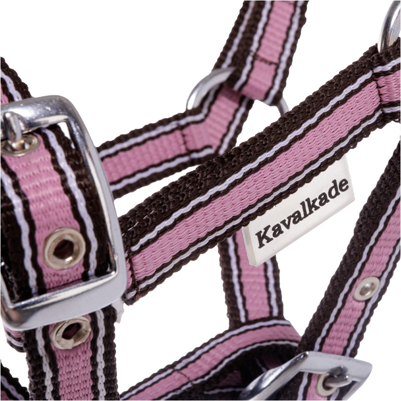 Fohlenhalfter rosa/braun/weiß Fohlenhalfter rosa/braun/weiß