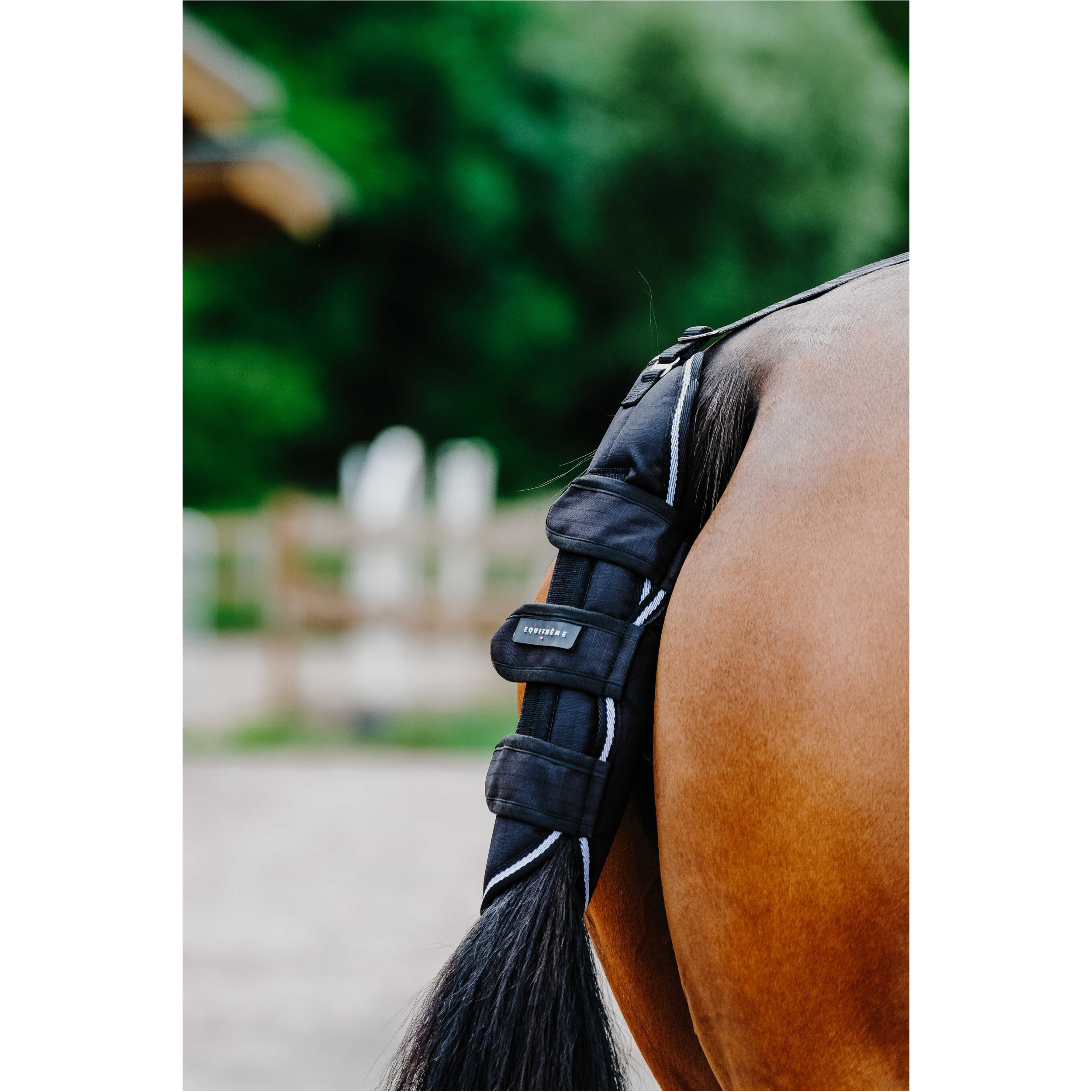 Schweifschutz 600D TYREX schwarz