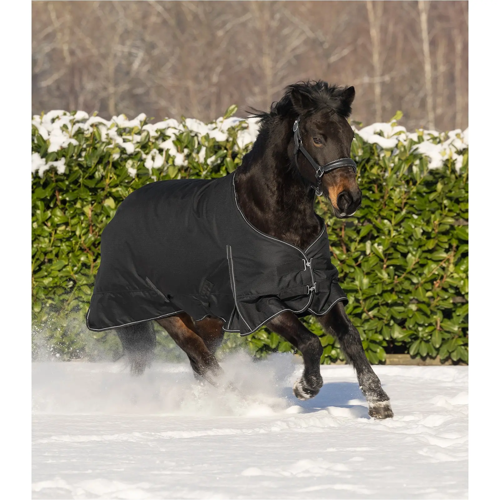 Outdoordecke 300g Füllung 600D NORDIC schwarz Outdoordecke 300g Füllung 600D NORDIC schwarz