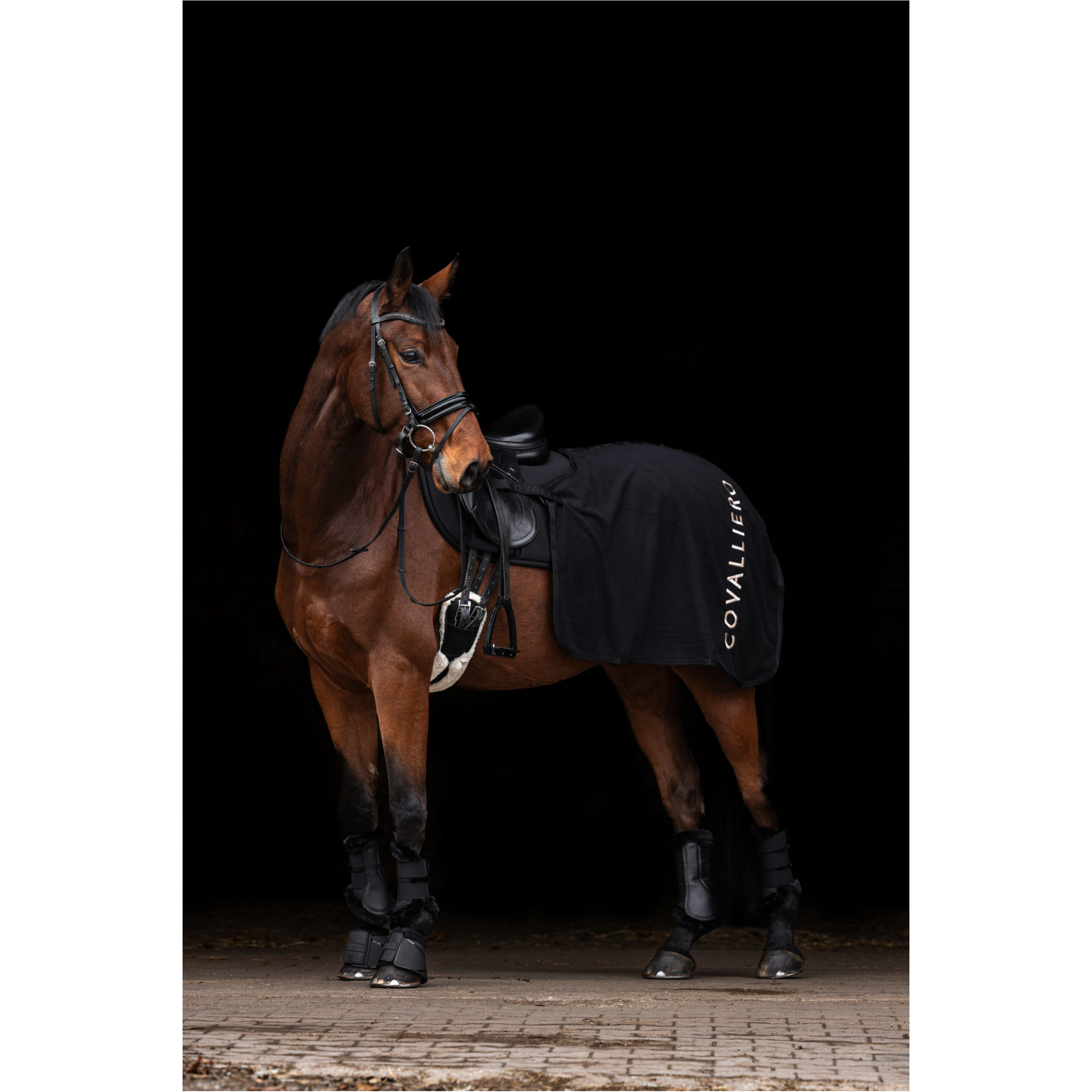 Ausreitdecke H/W 2025 schwarz
