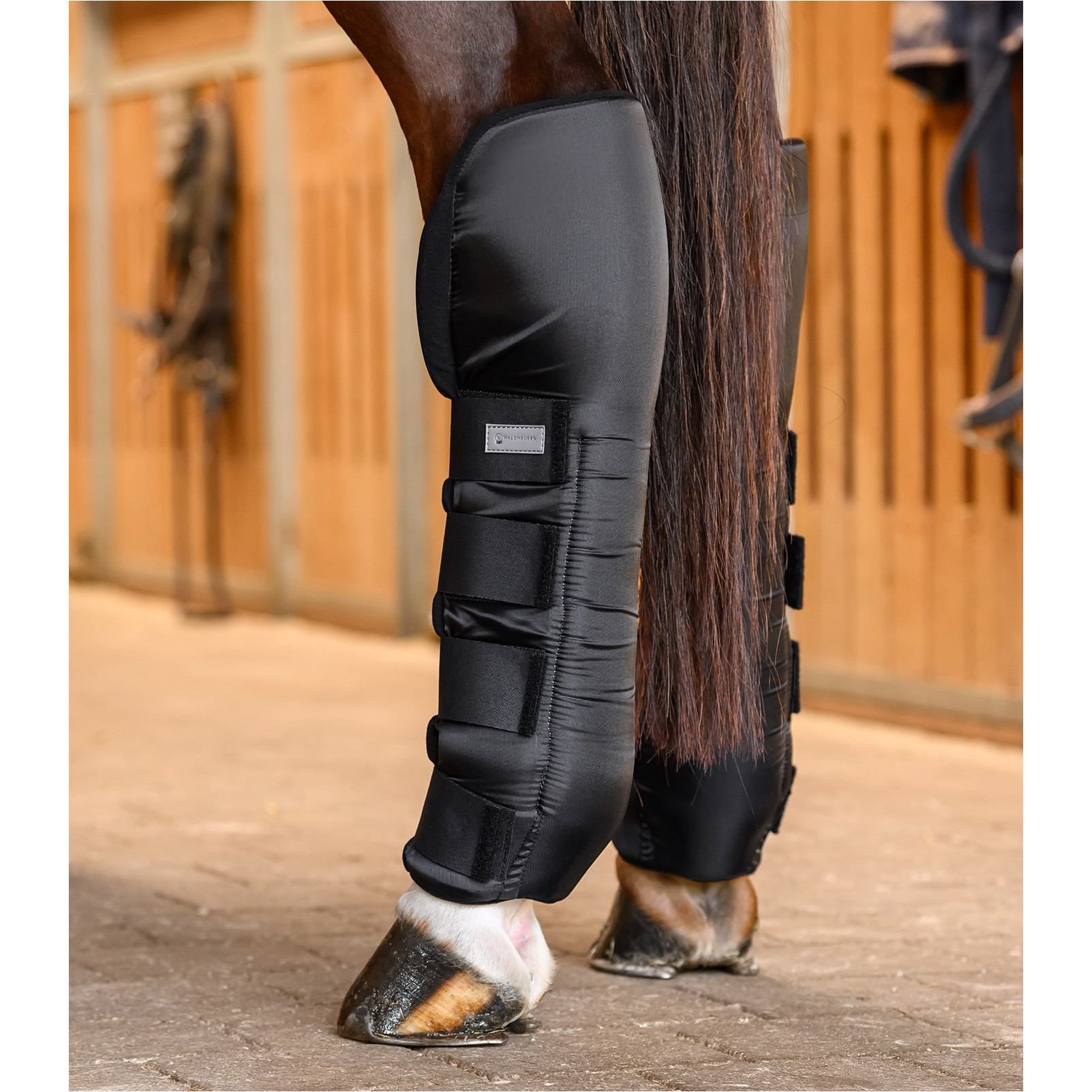 Stallgamaschen hinten mit Gelenksupport schwarz Stallgamaschen hinten mit Gelenksupport schwarz