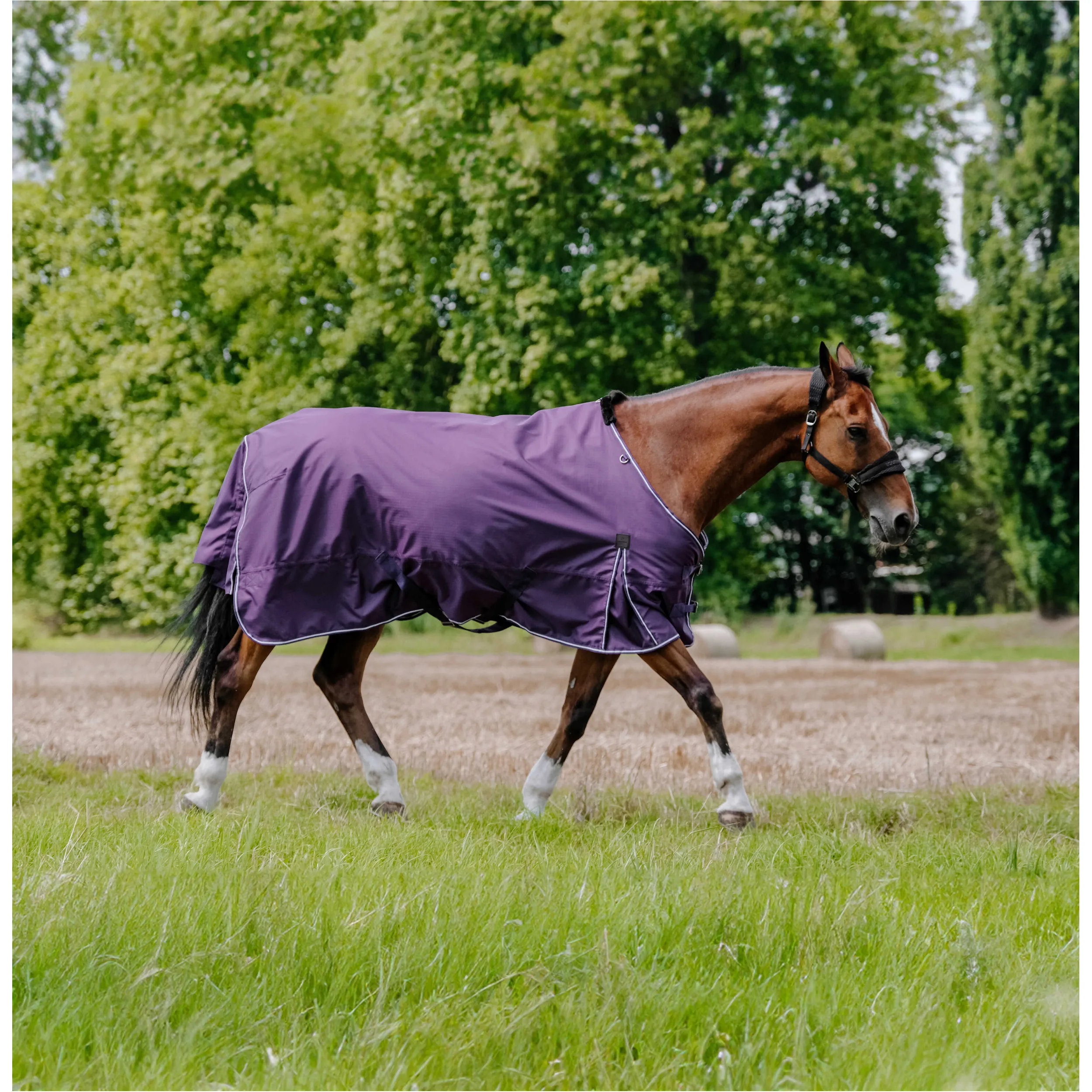 Outdoordecke 300g Füllung 600D TYREX AISANCE pflaumenfarben