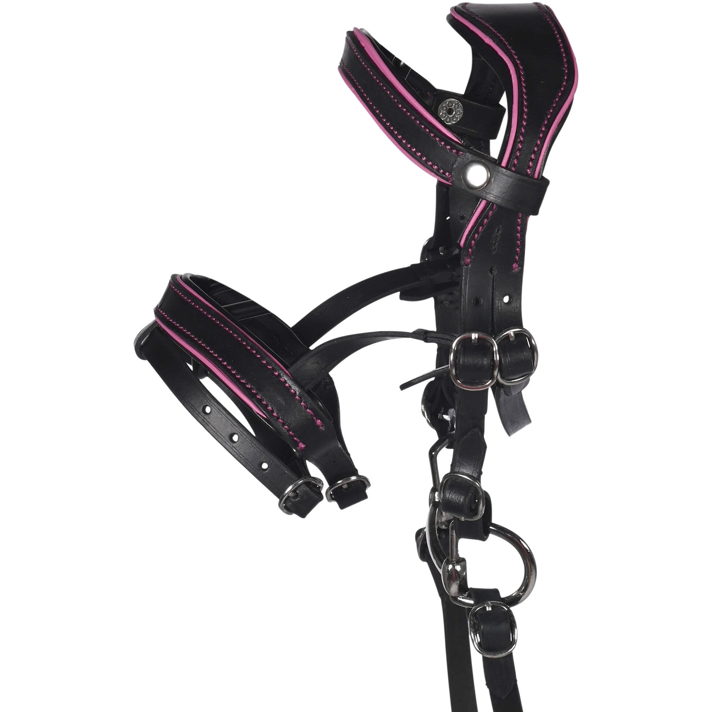 Ledertrense Manchester HOBBY HORSING schwarz/pink