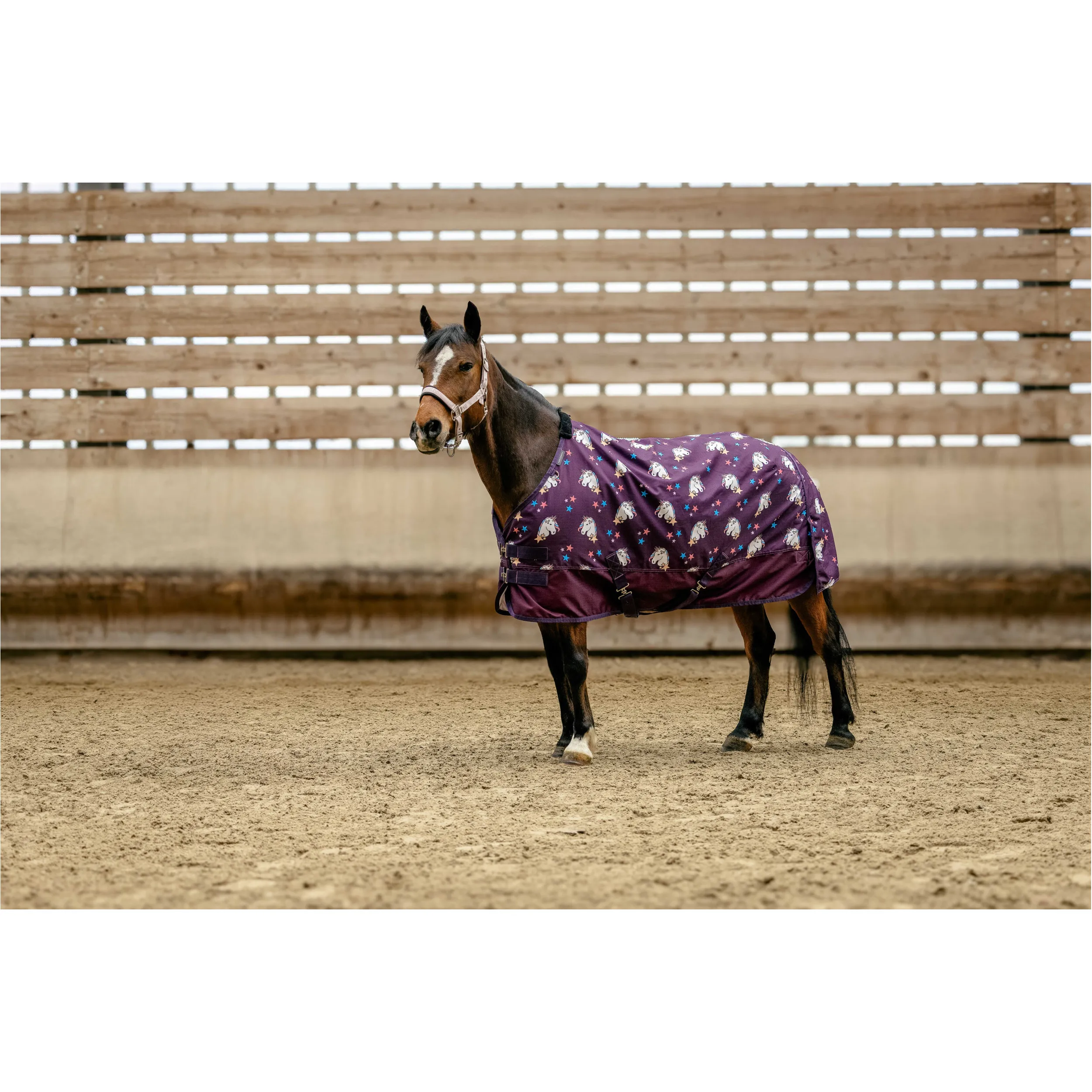 Outdoordecke 220g Füllung 600D LICORNE pflaumenfarben
