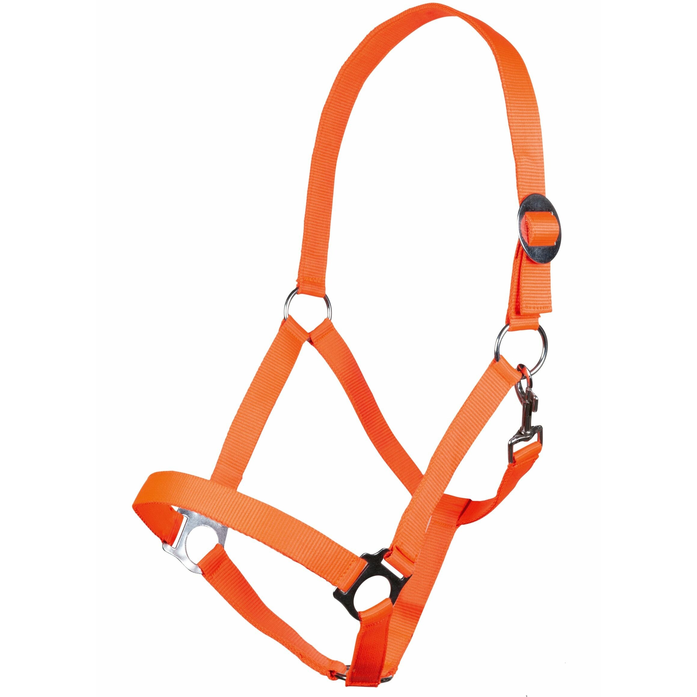 neon orange