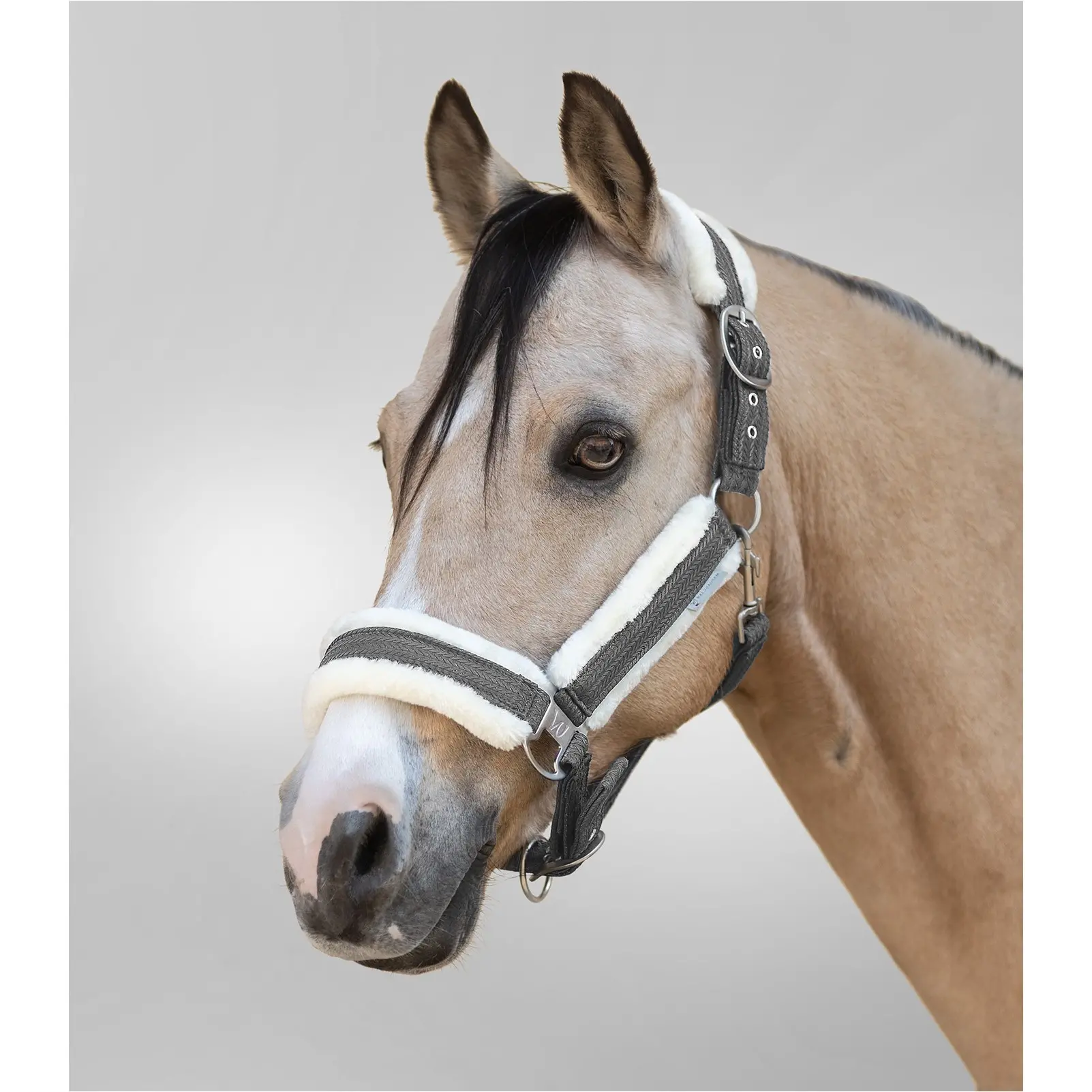 Halfter SPARKLE grau