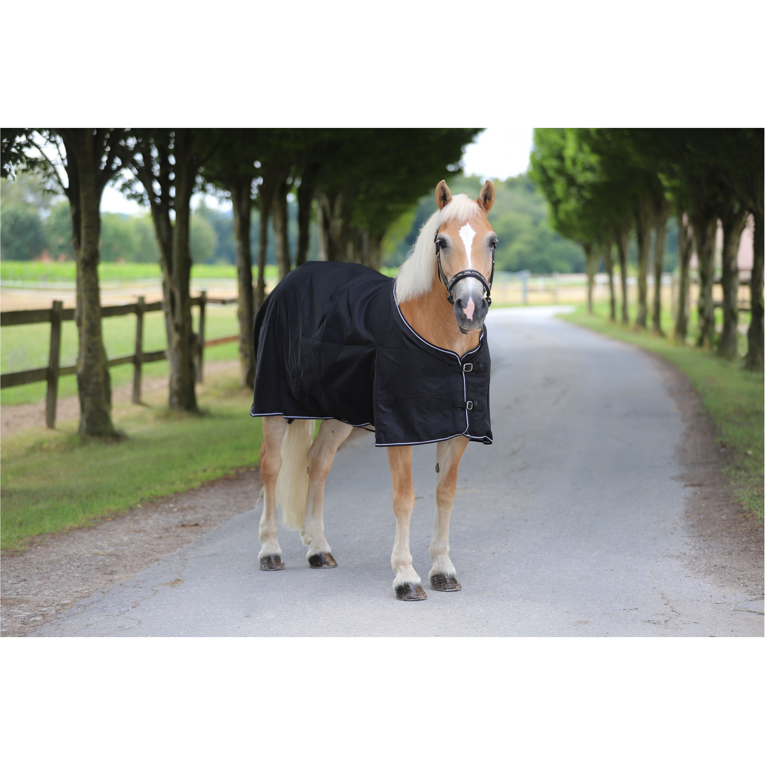 Regendecke 600D COMFORT schwarz