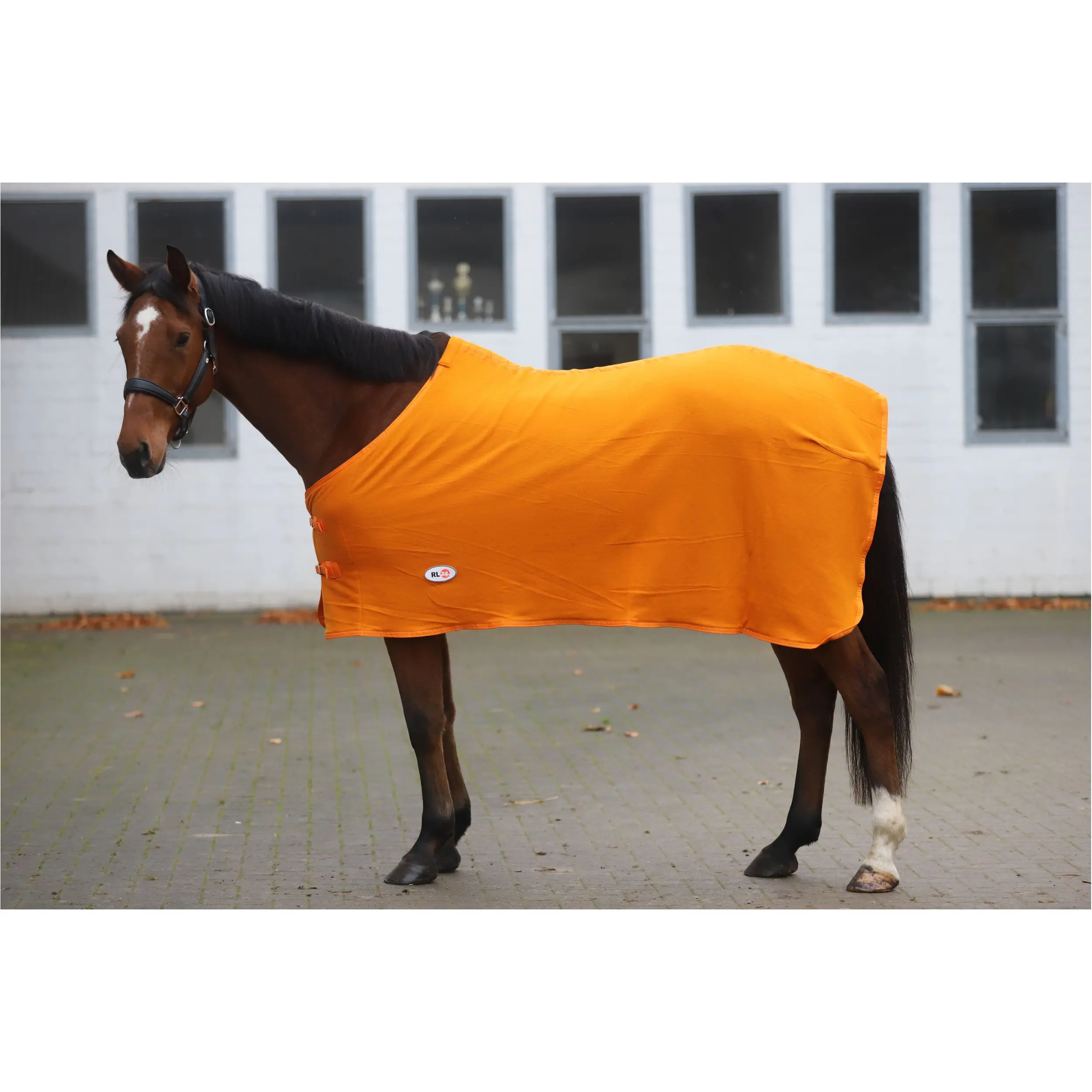 Abschwitzdecke BASICLINE rost