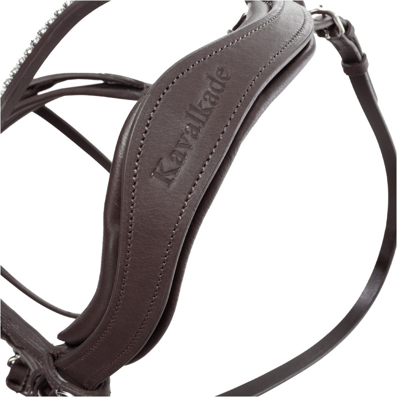 Trensenzaum englisch kombiniert CALIANO CERRA Leder geölt schwarz/silber