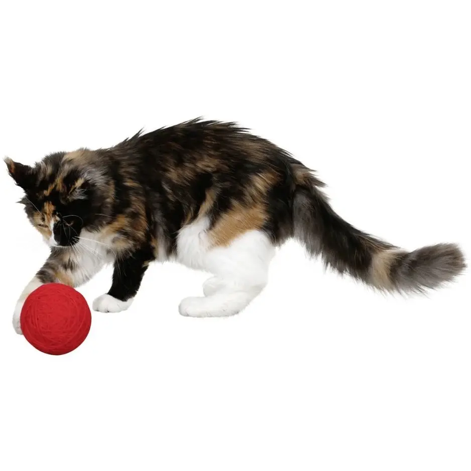 Katzen Wollspielball rot ø 10cm