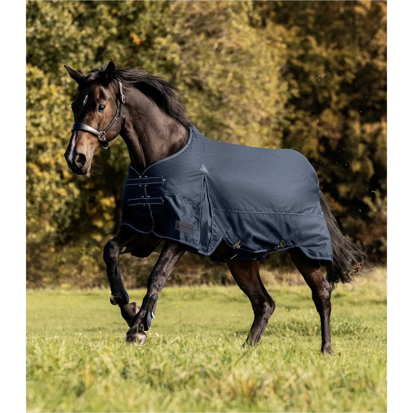 Outdoordecke Light 600D ARCTIC nachtblau