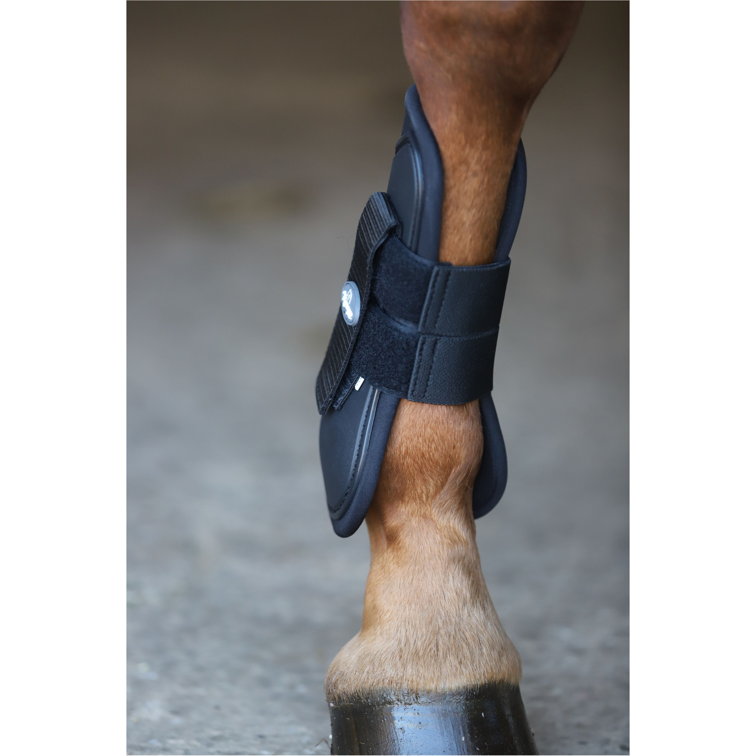 Gamaschen & Streichkappen (4er Set) PRO schwarz