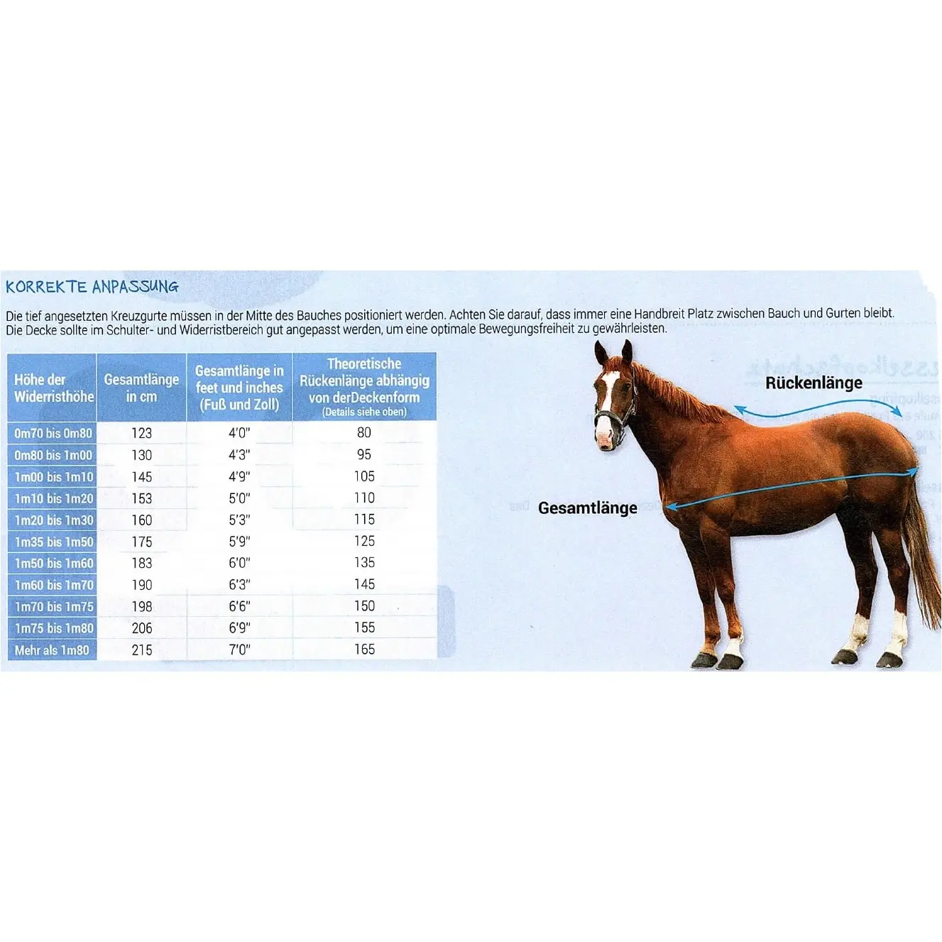 Winterdecke 450g Füllung 600D TYREX marineblau/grau Winterdecke 450g Füllung 600D TYREX marineblau/grau