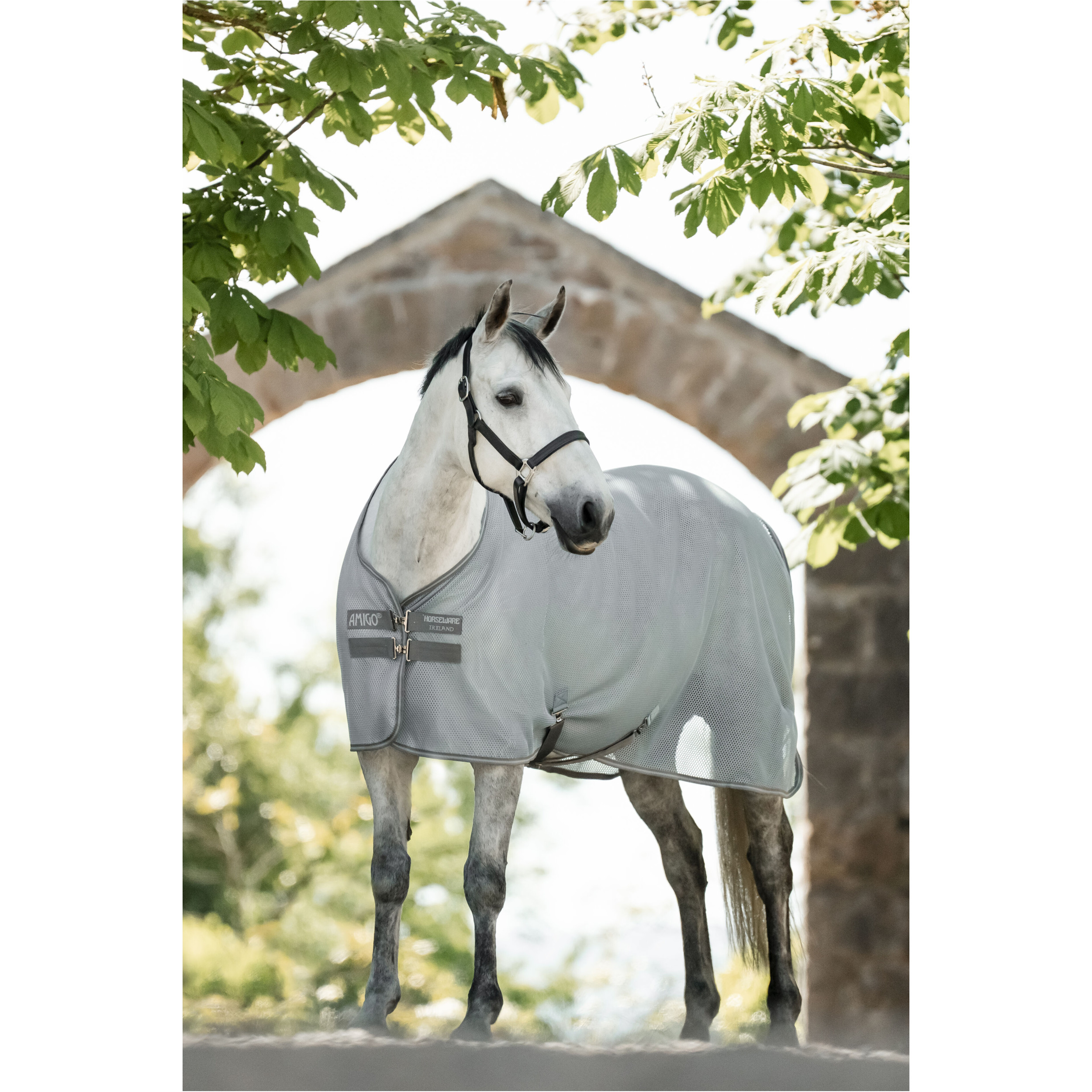 Abschwitz- und Fliegendecke AMIGO AirNet Cooler heather blue/titanium grey/silver