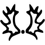 Bundeszuchten Trakehner
