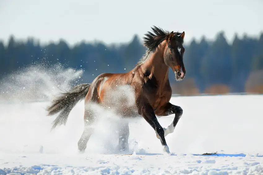 Fotolia_47039521_S