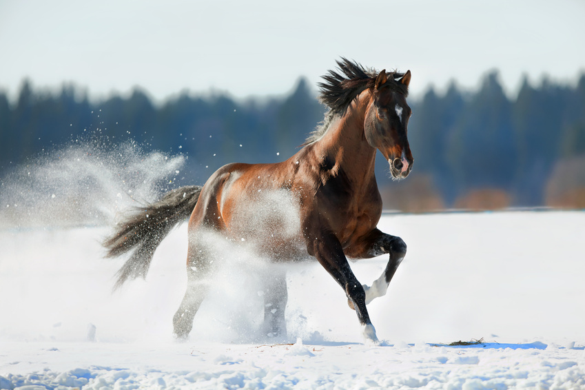 Fotolia_47039521_S