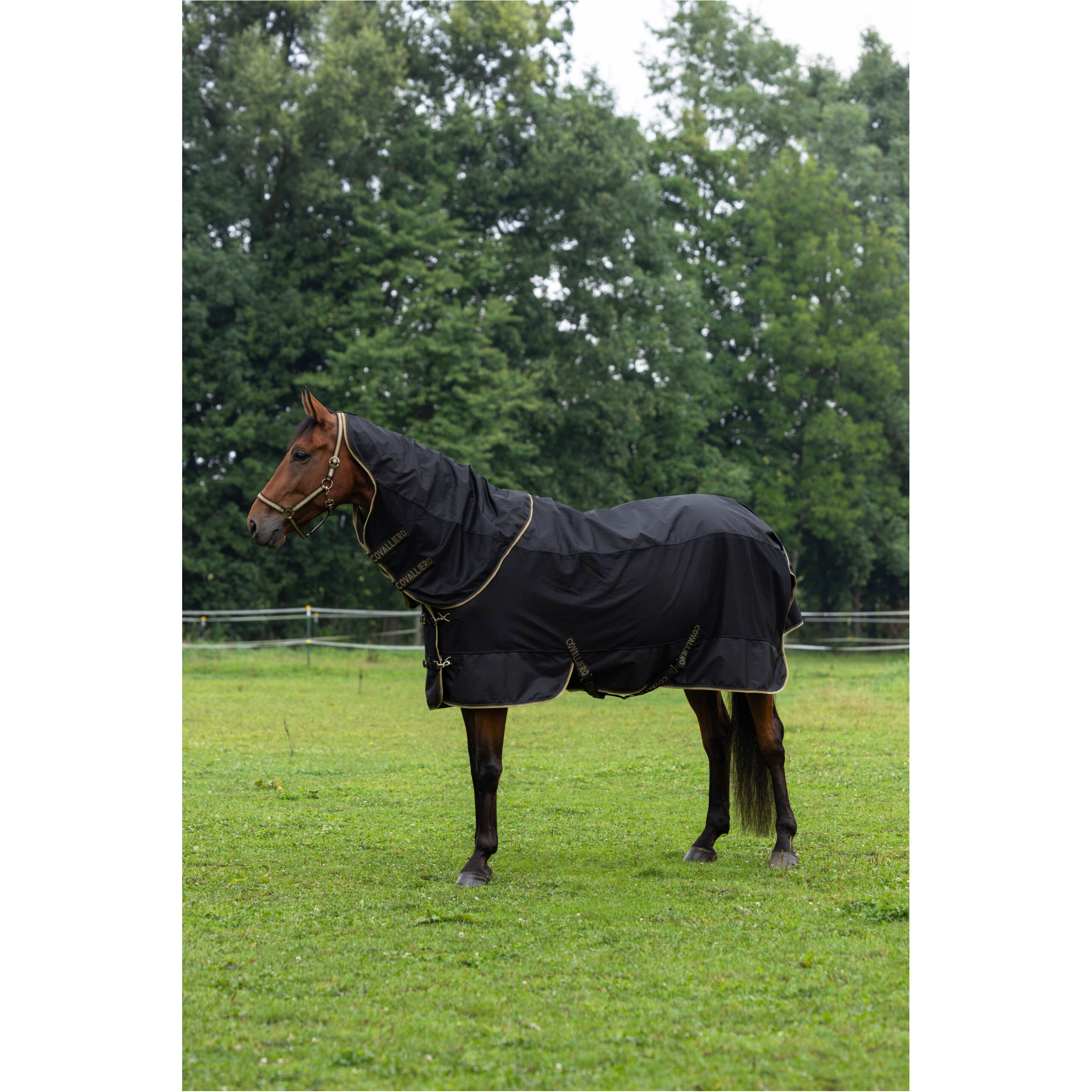 Regendecke Halsteil (abnehmbar) F/S 2026 black Regendecke Halsteil (abnehmbar) F/S 2026 black