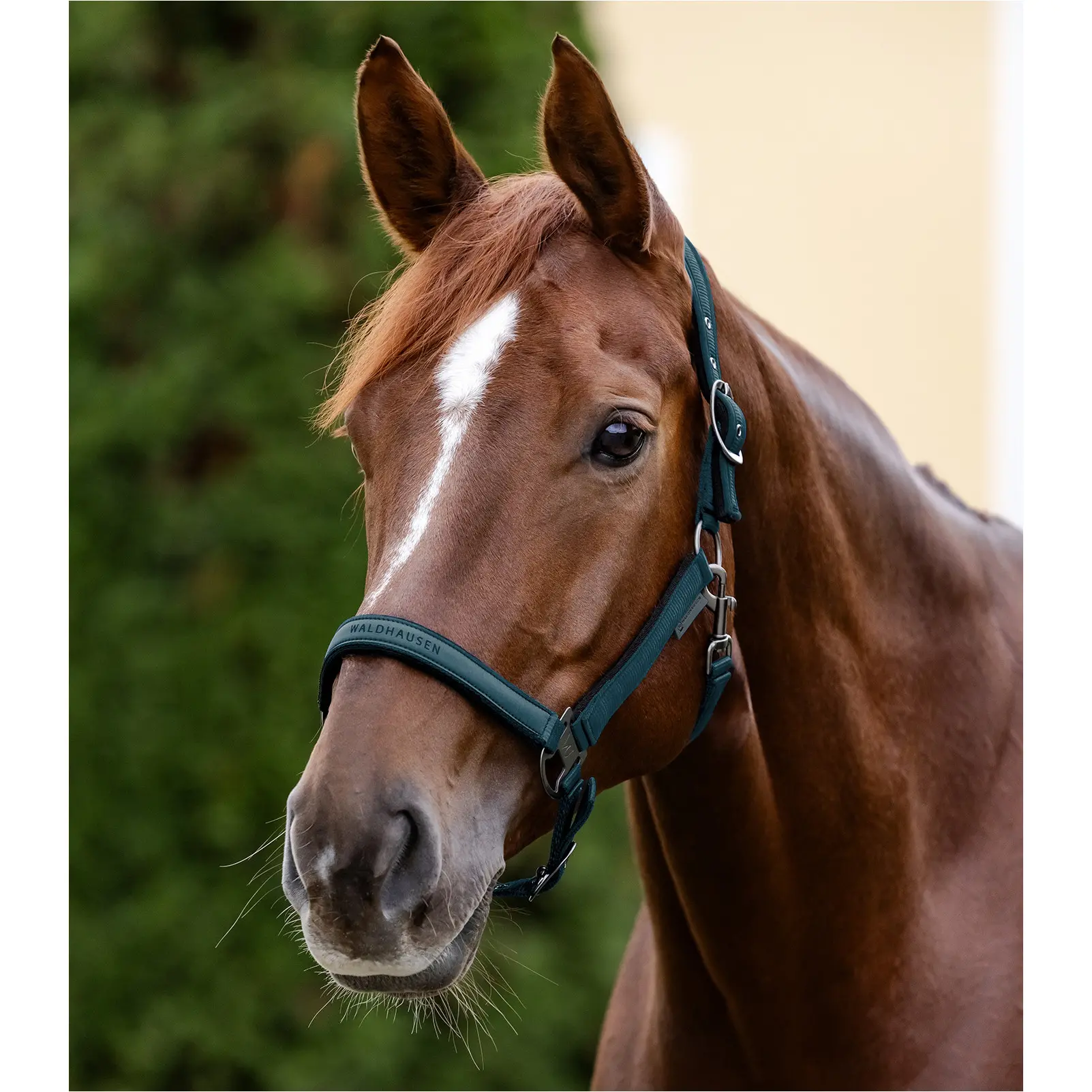 Halfter ATHLETIC petrolblau