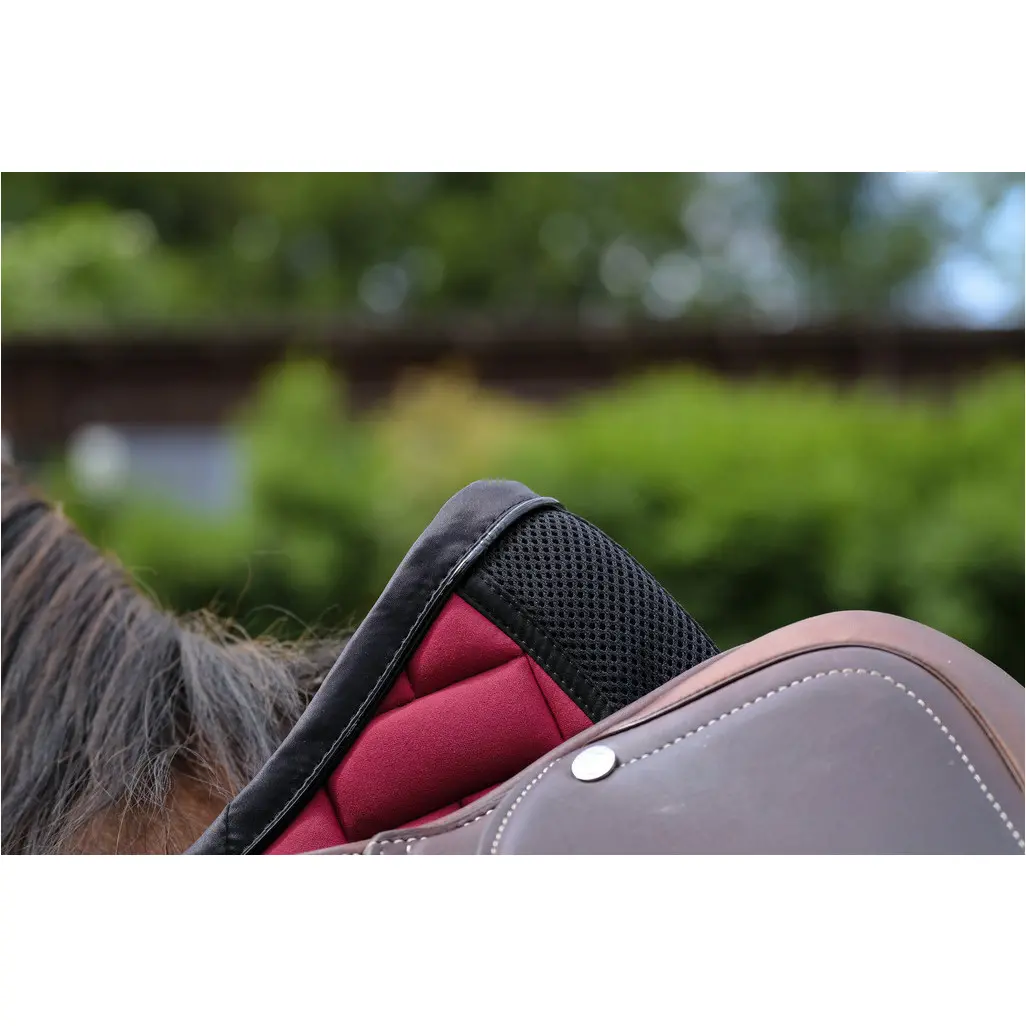 EQUITHEME - Impulsion - Schabracken bordeaux
