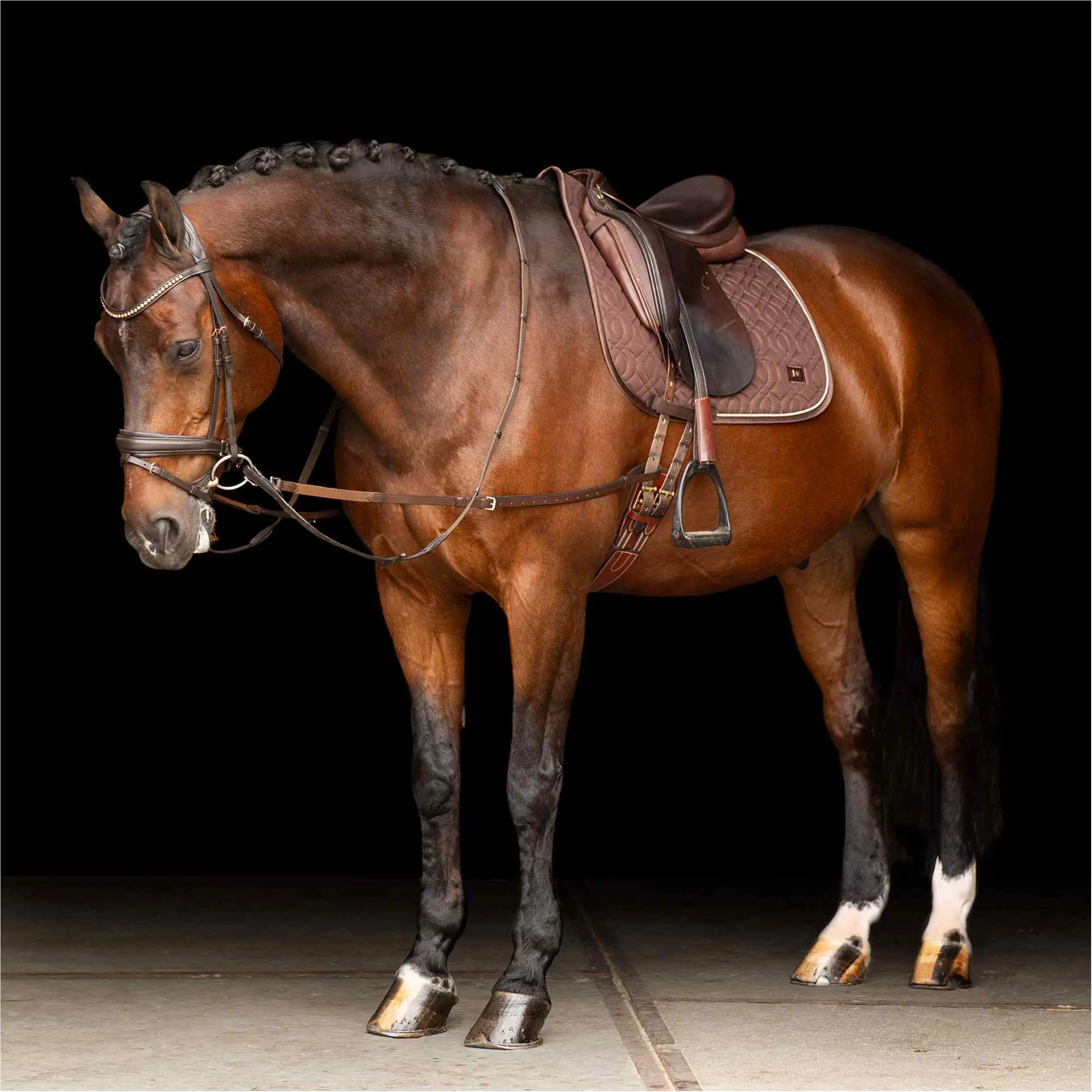 Ausbinder Leder mit Elastik braun