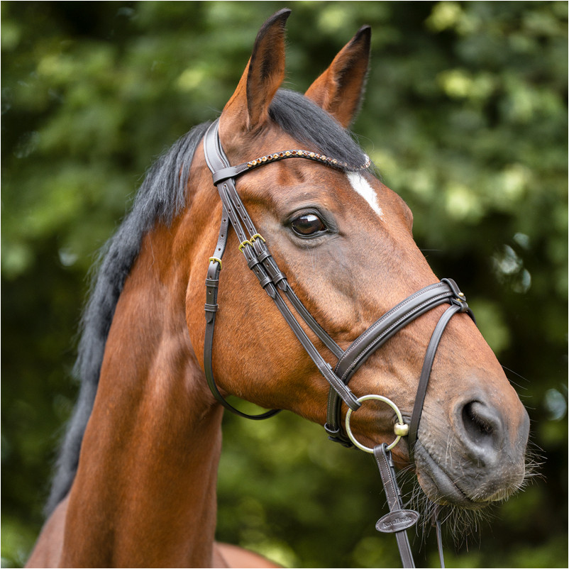 Stirnband SPLENDID braun