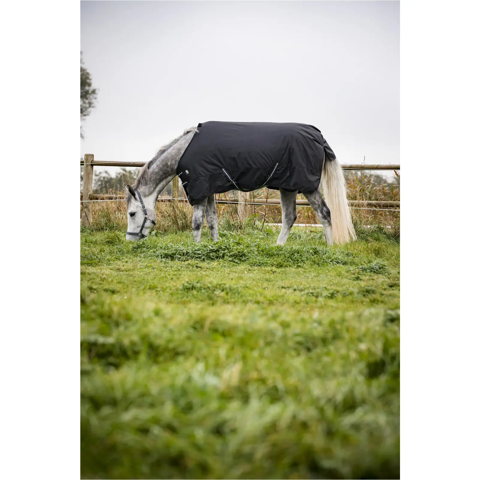 Winter Weidedecke 400g Füllung 600D schwarz