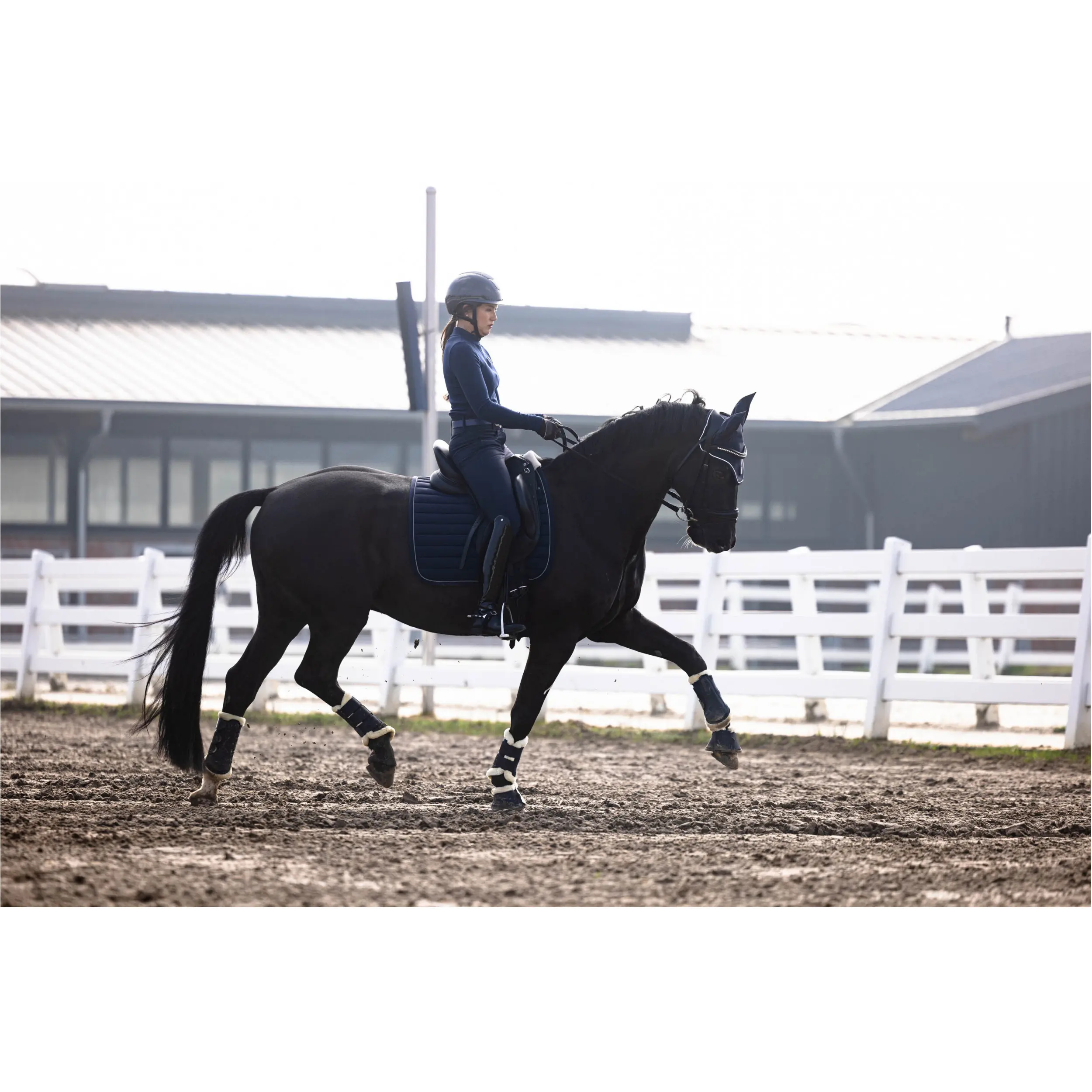 Damen Reithose Silikon Vollbesatz AREZZO dunkelblau