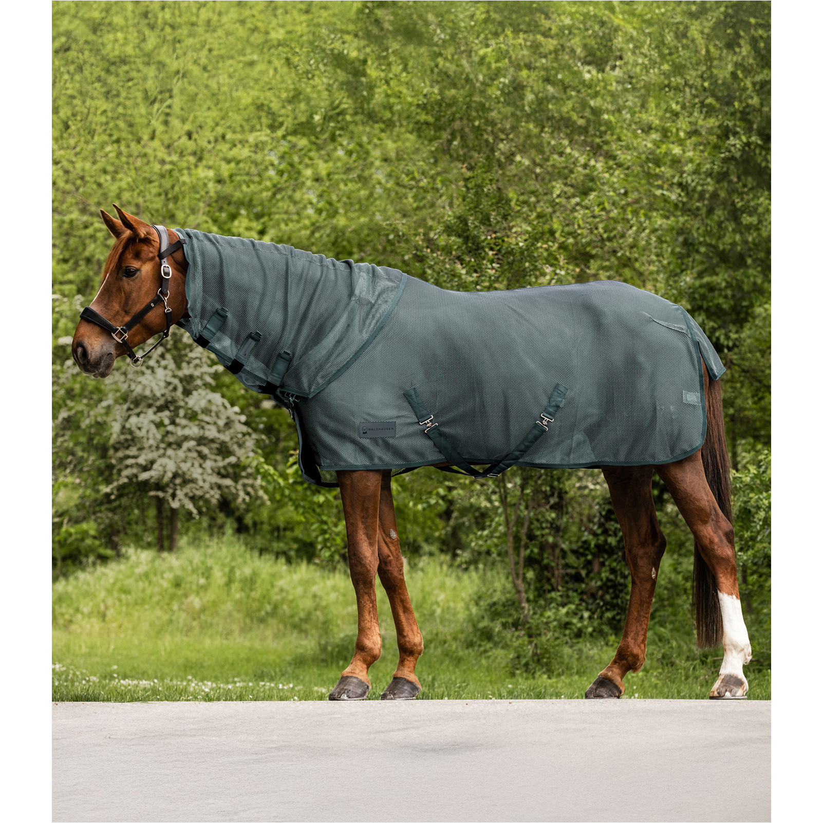 Fliegen-Halsteil COMFORT piniengrün