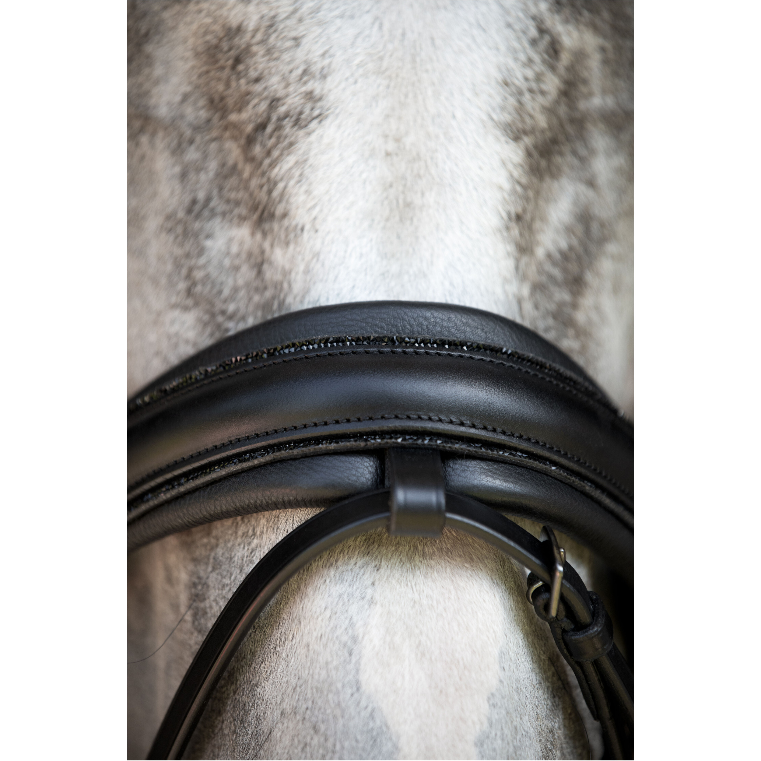 Trensenzaum rund genäht schwedisch kombiniert NIVAL 26.1 schwarz