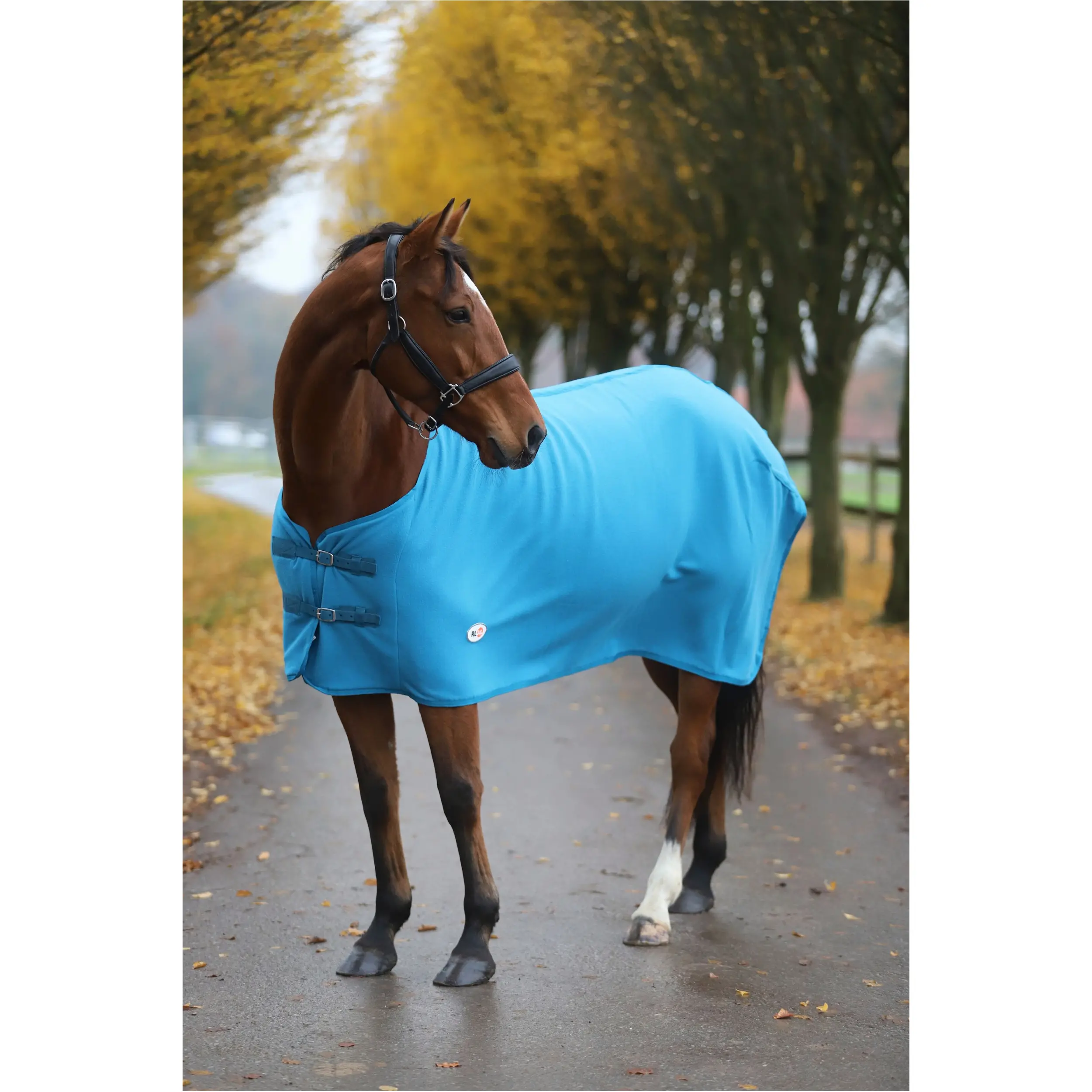 Abschwitzdecke BASICLINE petrol