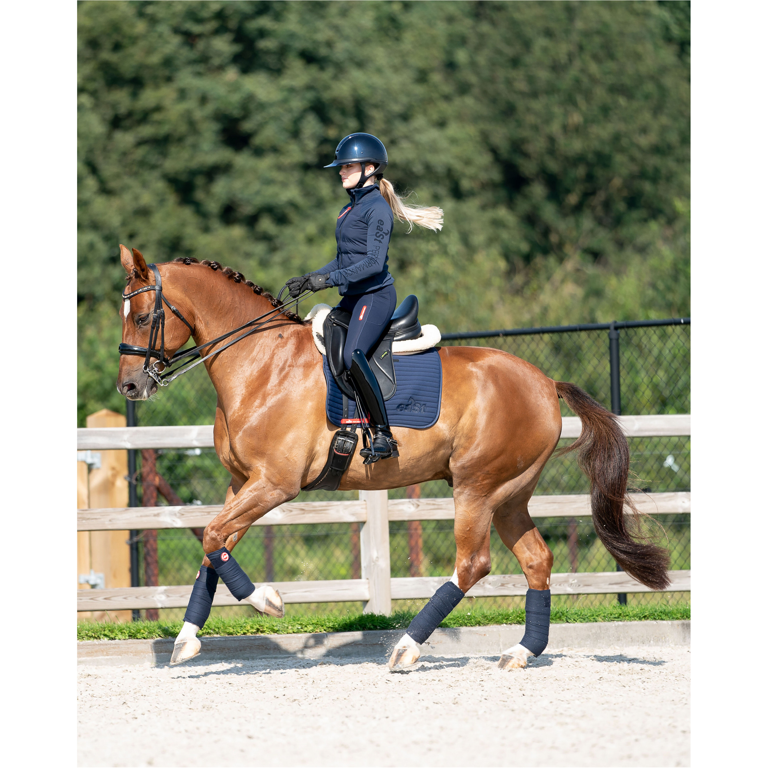 Damen Reitjacke HYBRID JERSEY midnight blue