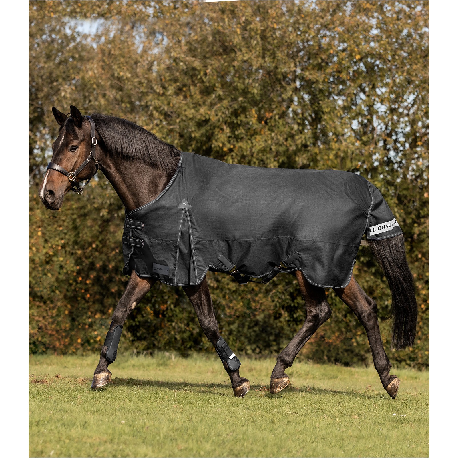 Outdoordecke 100g Füllung 600D ARCTIC schwarz Outdoordecke 100g Füllung 600D ARCTIC schwarz