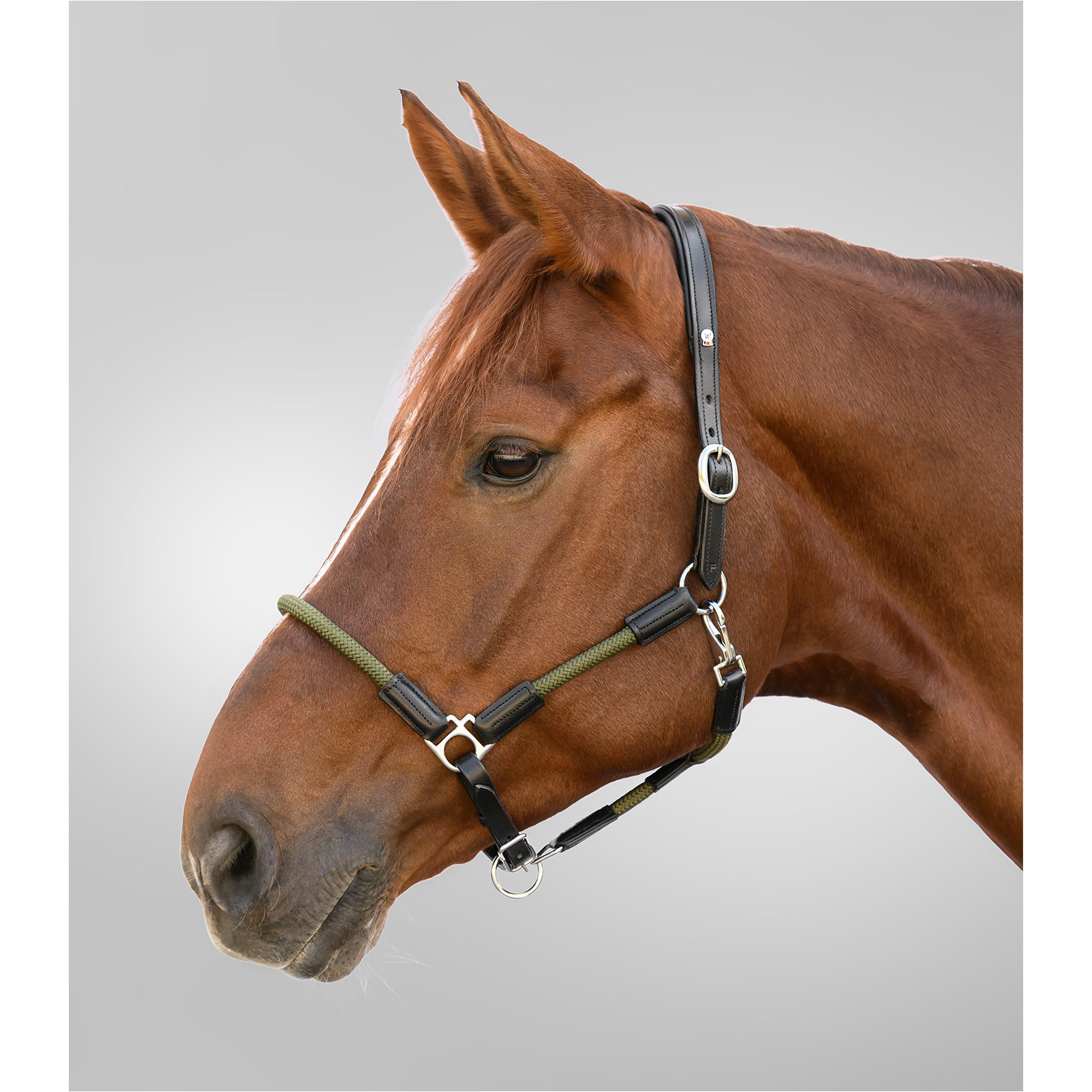 Lederhalfter X-Line NEVADA schwarz/grün Lederhalfter X-Line NEVADA schwarz/grün