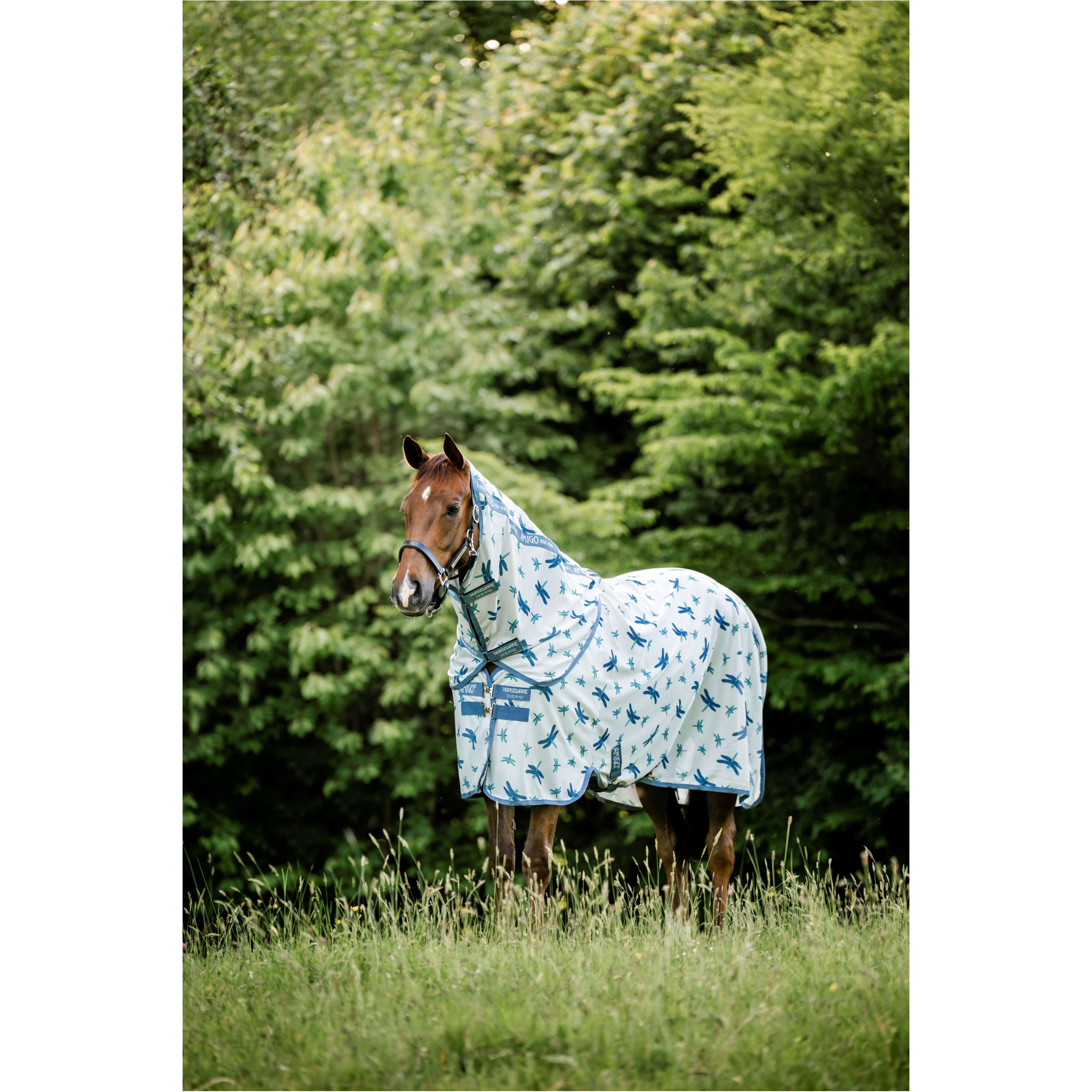 Fliegendecke mit Halsteil (abnehmbar) AMIGO Bug Rug Plus dragonfly print/silver/blue/sage