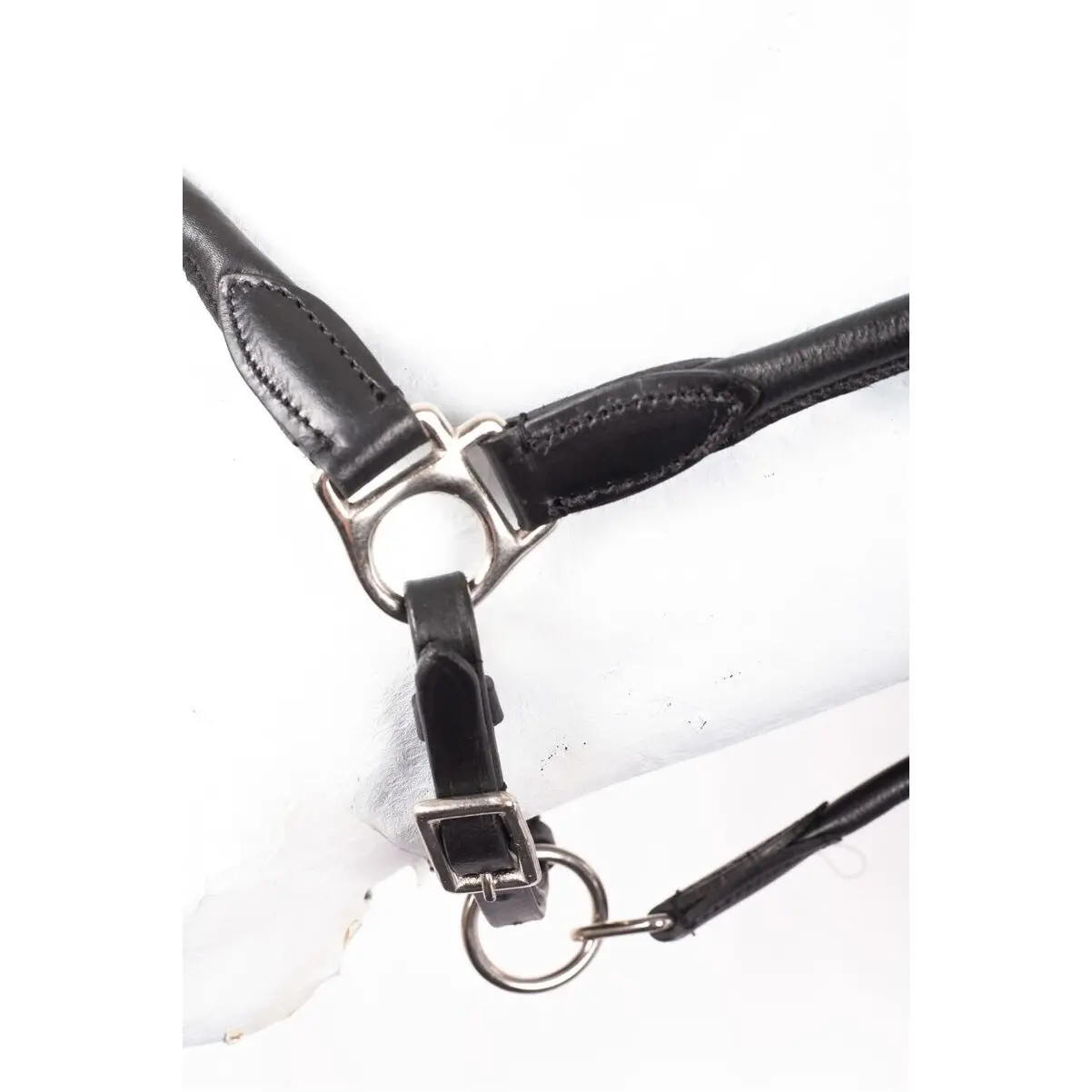 Halfter rundgenäht BASICLINE Leder schwarz