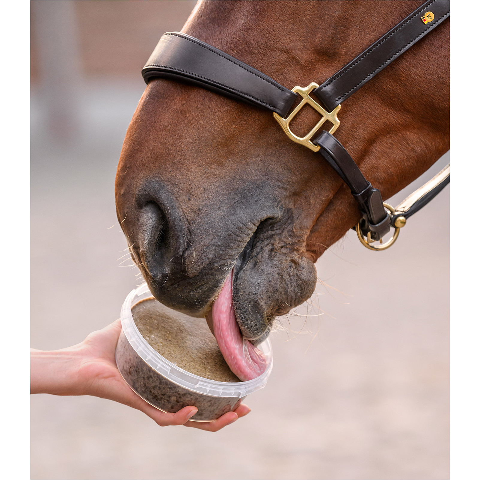 Leckschale StableSnack 650g