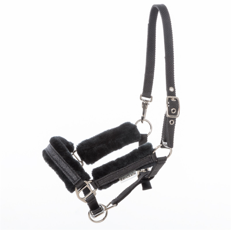 Halfter FOAL STAR schwarz Halfter FOAL STAR schwarz