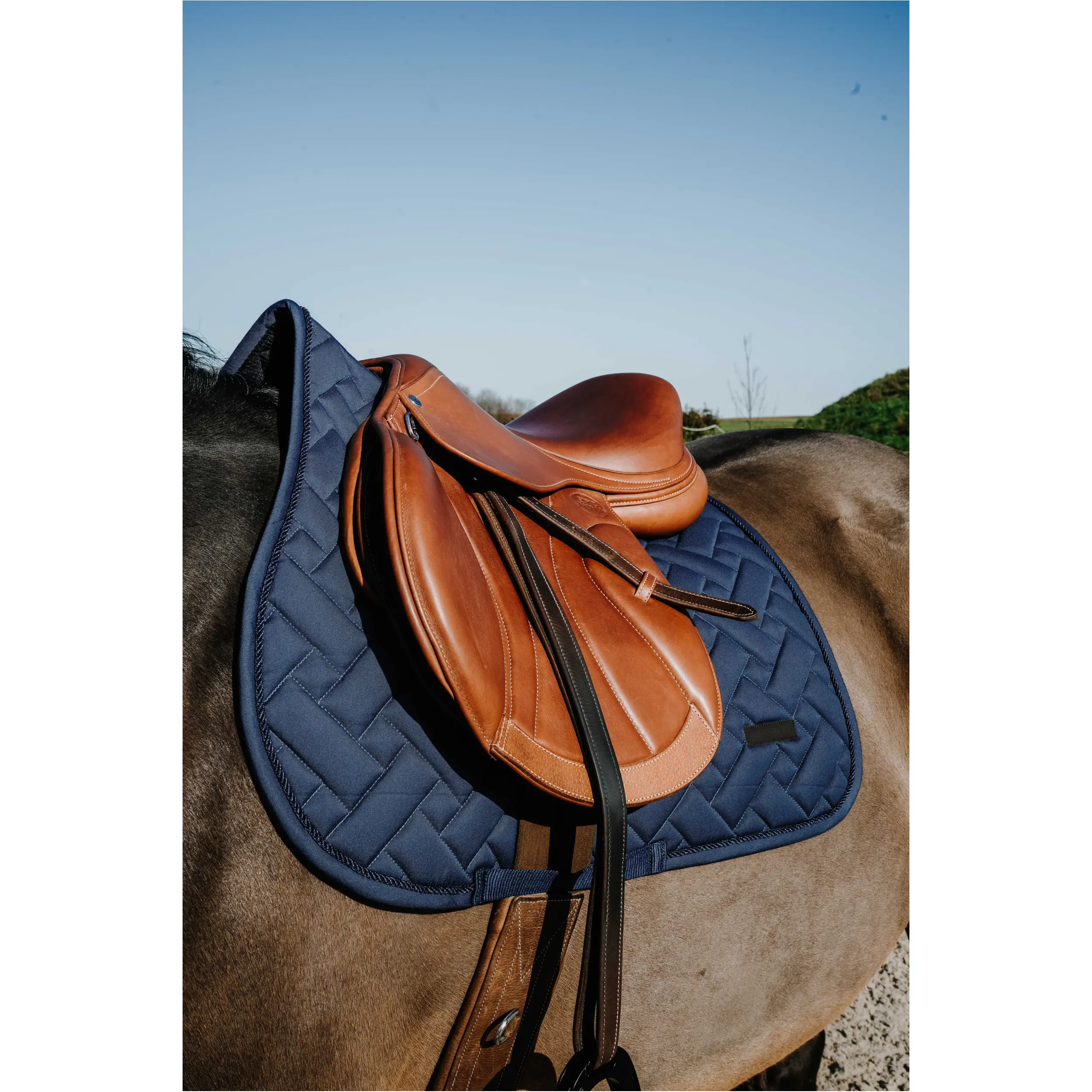 Schabracke STARLET navy Warmblut Vielseitigkeit