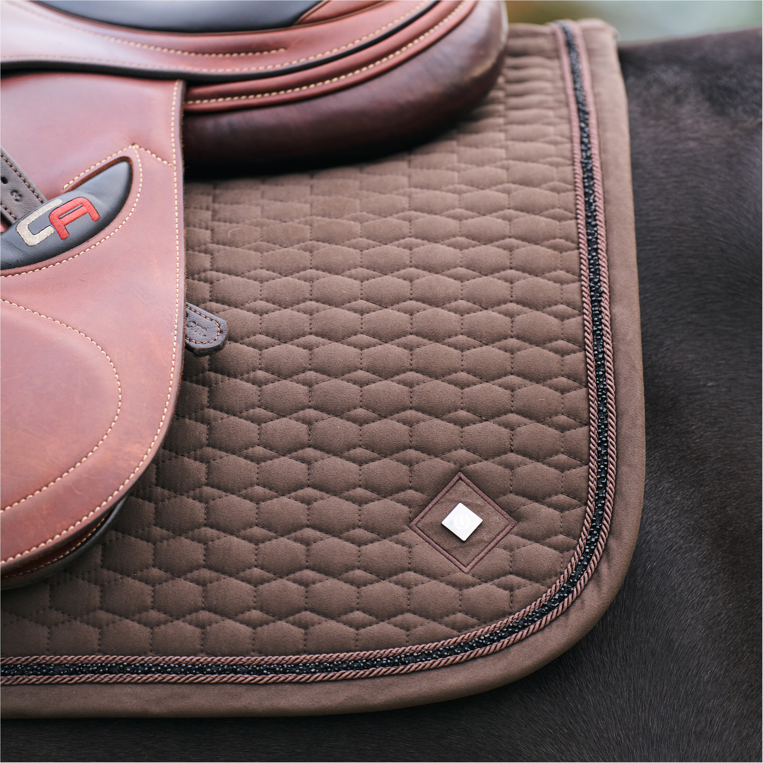 Schabracke IRHMaria chocolate