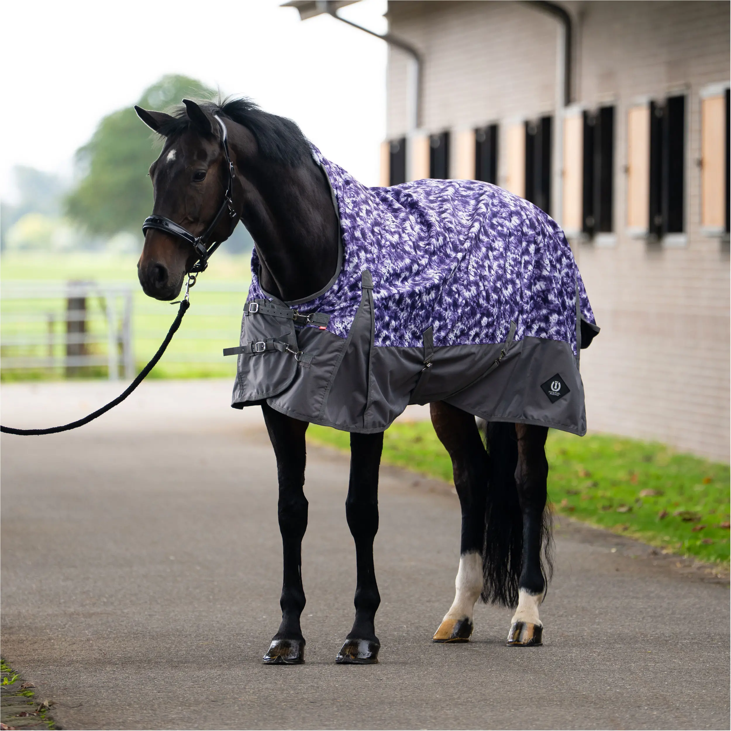 Outdoordecke High Neck 600D mit Polarfleecefutter IRHCustomized purple check/grey