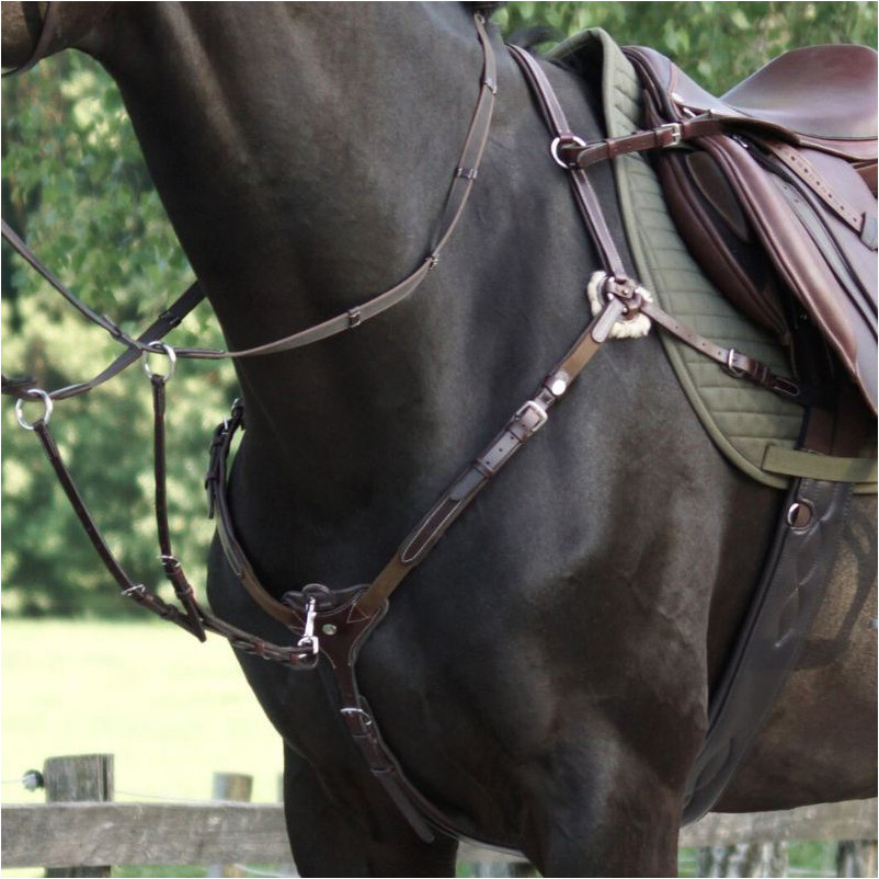 Vorderzeug mit Elast BIANCA braun Vorderzeug mit Elast BIANCA braun