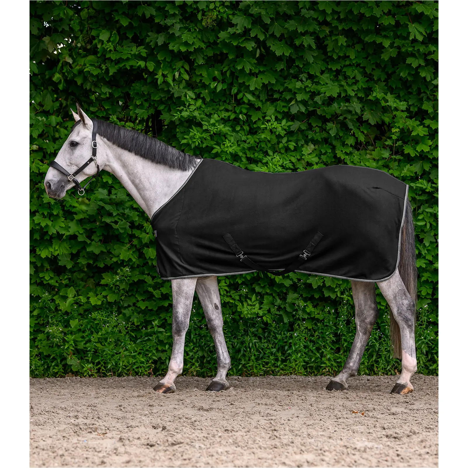 Fleecedecke mit Kreuzgurten ECONOMIC schwarz