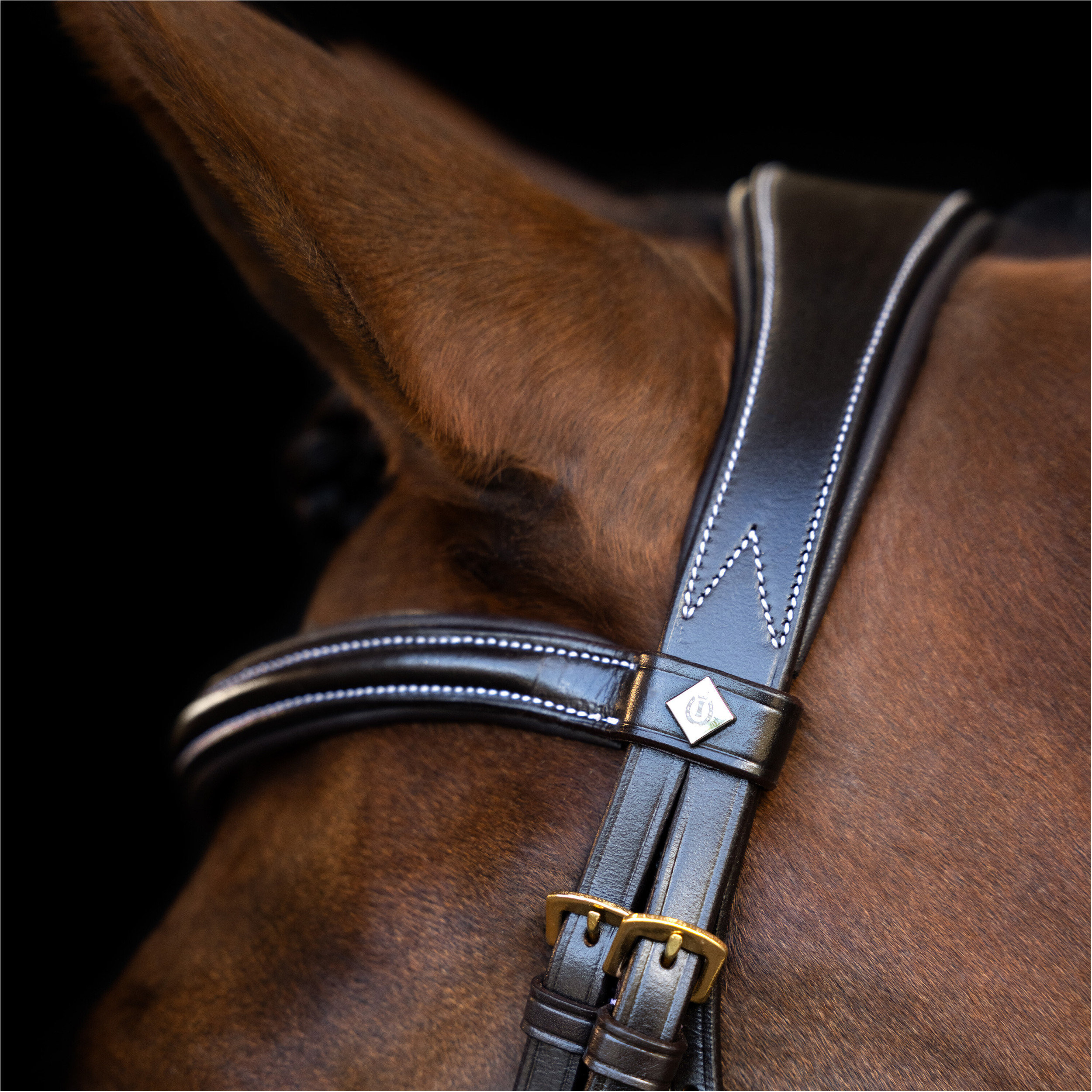 Trensenzaum IRH mit gebogenem englischen Nasenriemen braun