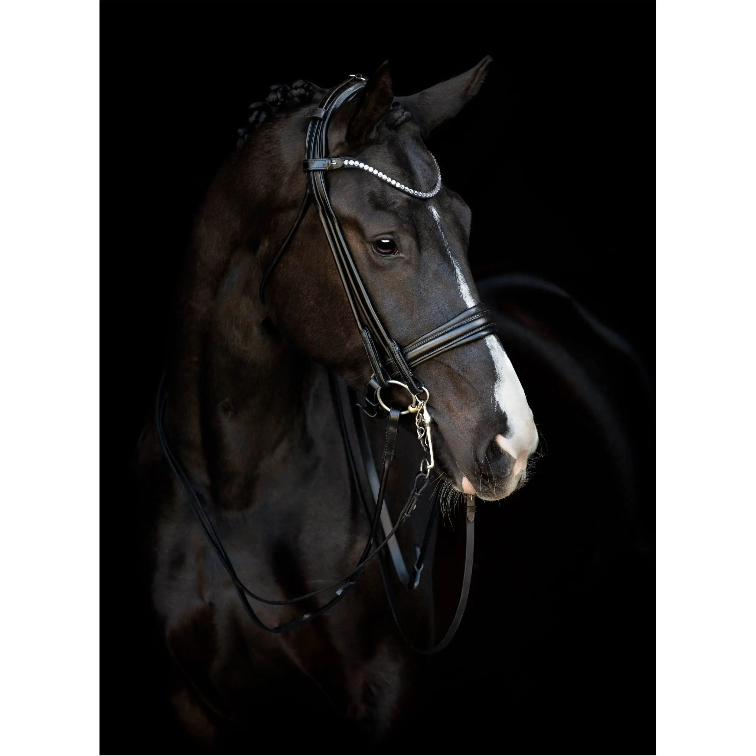 Kandarenzaum rund genäht SANTO Echtleder schwarz