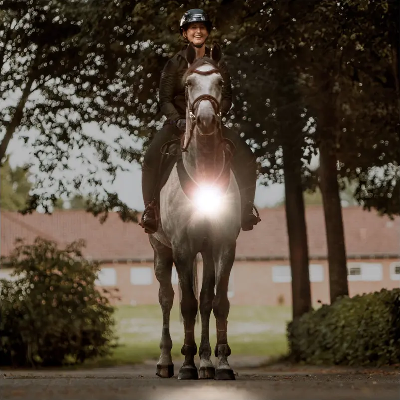 Vorderzeug mit weißer Frontleuchte HORSELIGHT schwarz/grau