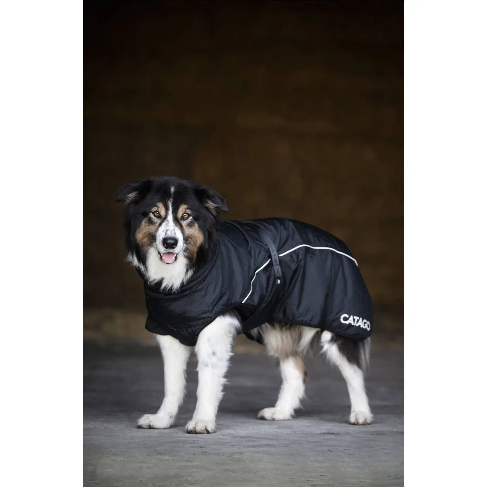 Winter Hundedecke FIR-Tech schwarz