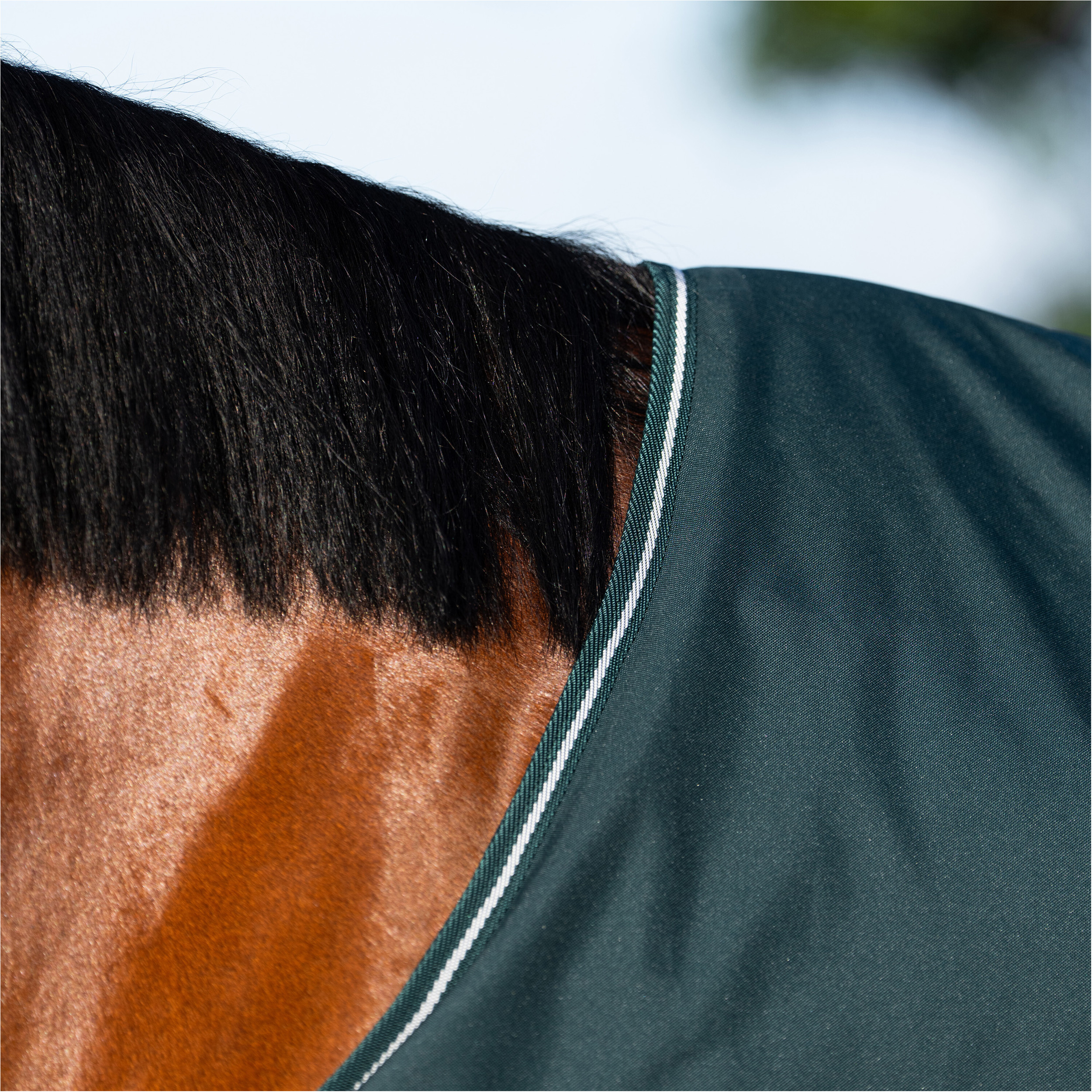 Outdoordecke 300g Füllung 600D IRHBasic green