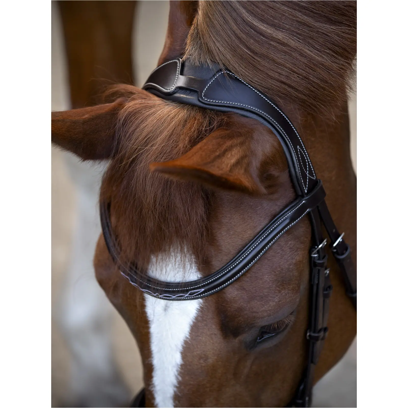 Trensenzaum englisch kombiniert TORINA braun